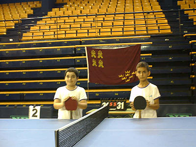 Del 27 al 30 de Junio se celebró en Las Palmas de Gran Canaria el 5º Campeonato de España Benjamín de Tenis de Mesa, Foto 2