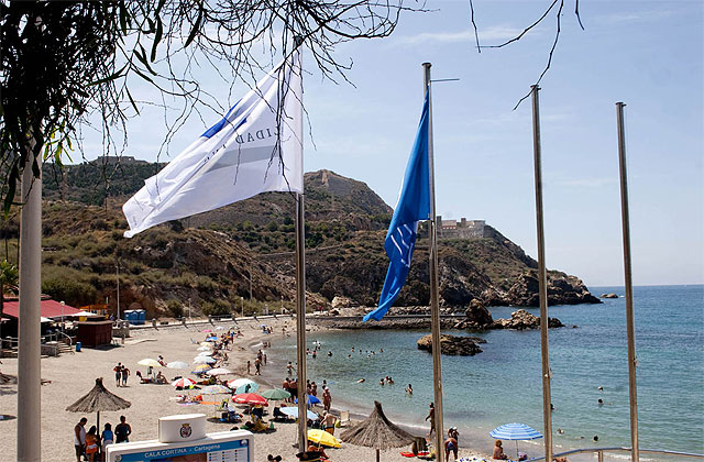 Izado de banderas azules y de Q de Calidad en las playas del municipio - 1, Foto 1