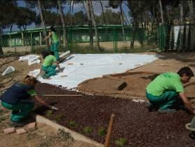Finaliza la primera fase de la Escuela Taller El Albergue - 3, Foto 3