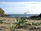 La costa de Murcia cuenta con siete espacios protegidos amenazados