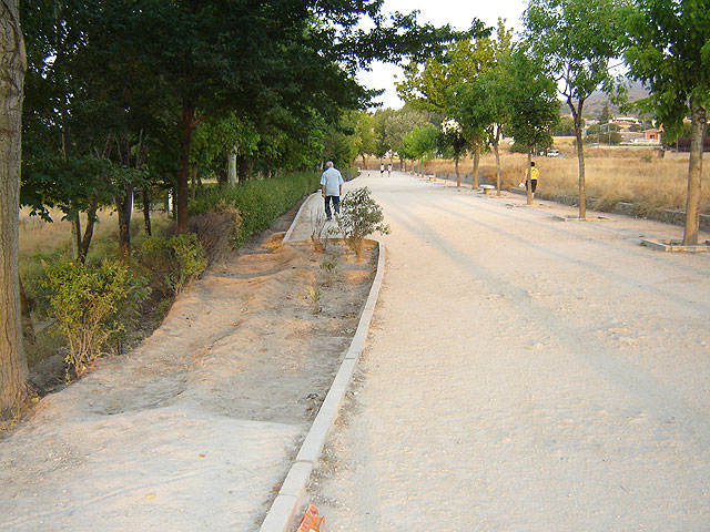 El Grupo Municipal Socialista denuncia el mal estado del paseo del Camino del Huerto - 1, Foto 1