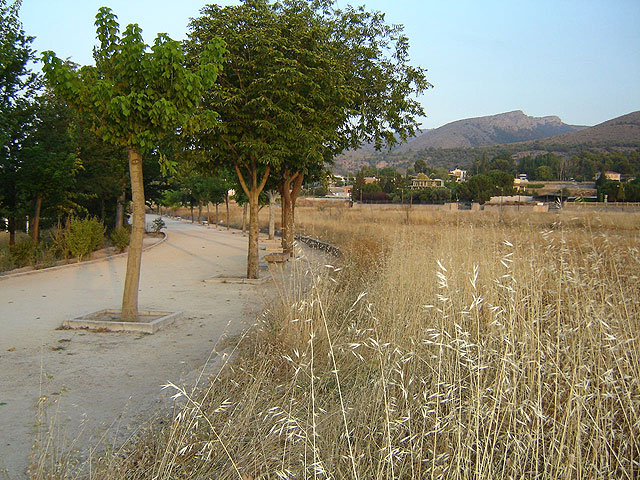 El Grupo Municipal Socialista denuncia el mal estado del paseo del Camino del Huerto - 2, Foto 2