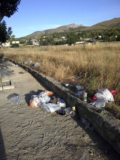 El Grupo Municipal Socialista denuncia el mal estado del paseo del Camino del Huerto - 3, Foto 3