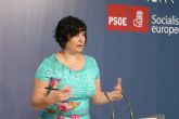 El PSOE quiere una Comisin Especial en la Asamblea que haga el seguimiento a la aplicacin de la Ley de Dependencia