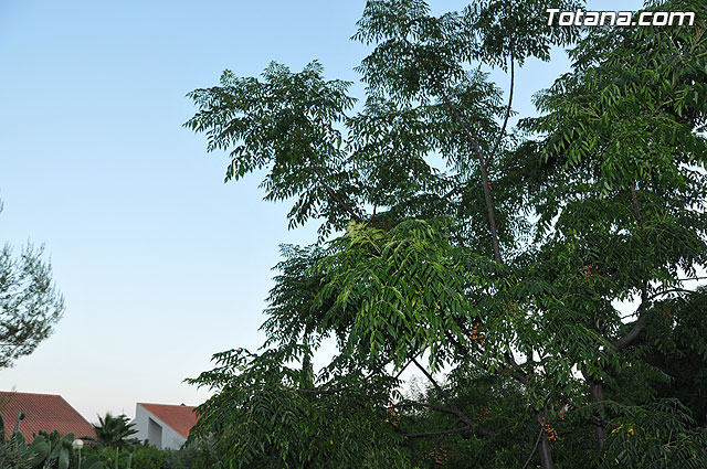 Autoridades regionales y locales clausuran las “V Jornadas Andersen para afectados de hemofilia con inhibidor” - 19