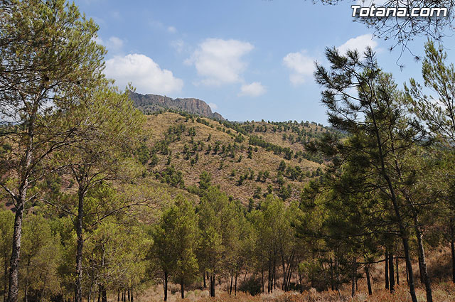 Comienza la rehabilitacin de la “Casa de las Monjas”, en la que estn trabajando 32 alumnos de la Escuela Taller - 4