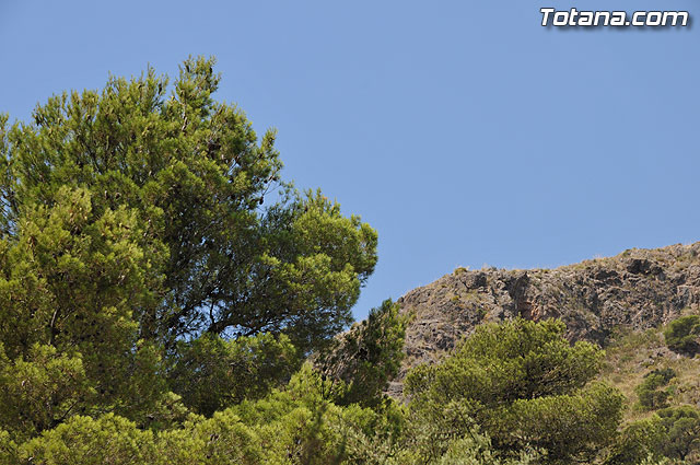 Comienza la rehabilitacin de la “Casa de las Monjas”, en la que estn trabajando 32 alumnos de la Escuela Taller - 7