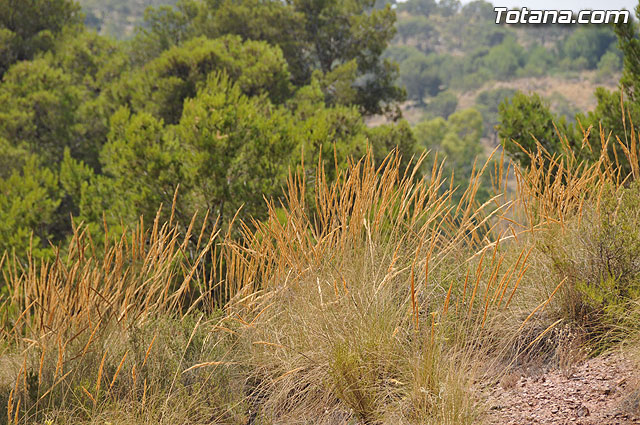 Comienza la rehabilitacin de la “Casa de las Monjas”, en la que estn trabajando 32 alumnos de la Escuela Taller - 38
