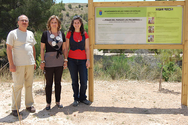 El proyecto municipal de Repoblación en el Pinar del Parque de Las Palmeras ha compensado la emisión de 290 toneladas de CO2 - 1, Foto 1