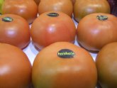 El Grupo Hortiberia aconseja el consumo de tomate para prevenir tumores