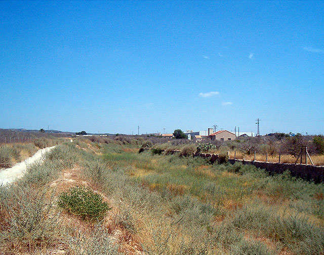 El PSOE pedirá al Ayuntamiento que autorice a la CHS el uso del camino de servidumbre de la Rambla del Carmen para proceder a su recuperación - 1, Foto 1