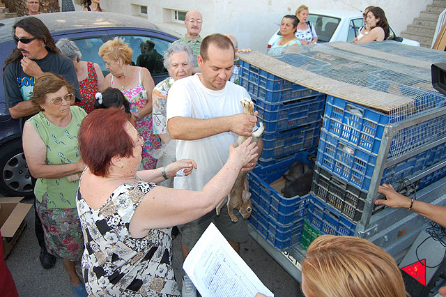 El reparto de conejos, buen calentamiento para las Fiestas Patronales de Lorquí - 1, Foto 1