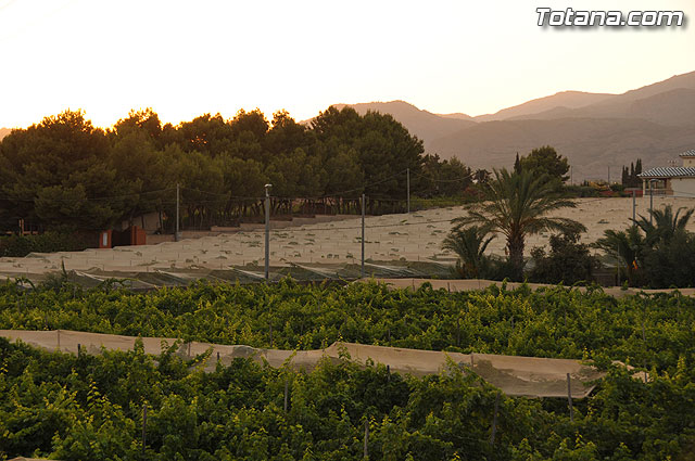 Inauguran las obras de alumbrado pblico llevadas a cabo en el Camino de los Yesares en la diputacin de Mort - 23