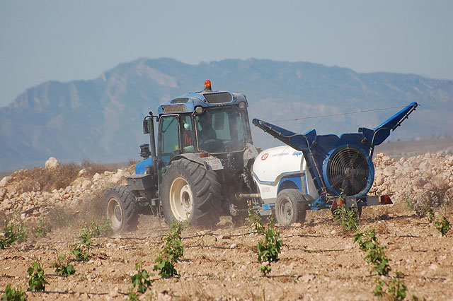 Agricultura realiza tratamientos fitosanitarios contra la plaga de langosta en unas 700 hectáreas de la comarca del Altiplano - 1, Foto 1