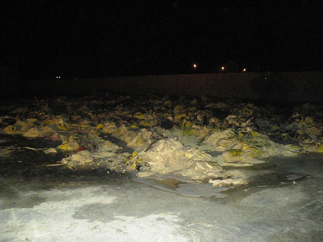 Sofocado un incendio de fertilizantes en una nave de La Palma - 4, Foto 4