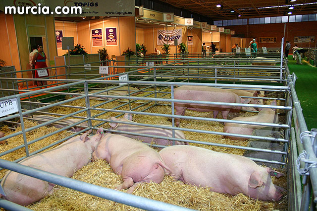 Convocan un concurso de ideas destinado a la creación de la imagen corporativa del sector de la agricultura y la ganaderia en Totana - 1, Foto 1