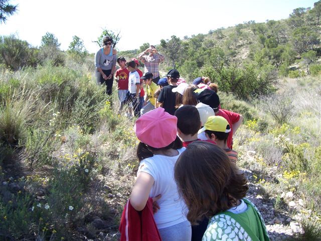 7.000 alumnos y alumnas de 30 centros educativos de Molina han participado en el Programa Municipal de Educación Ambiental Descubre tu entorno - 2, Foto 2