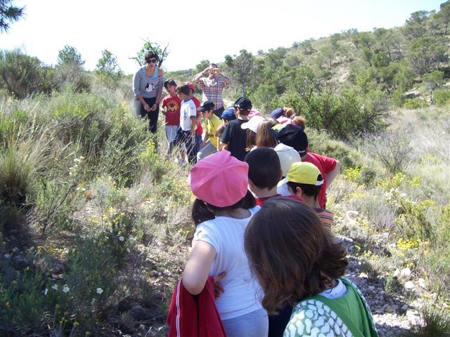 7.000 alumnos y alumnas de 30 centros educativos de Molina han participado en el Programa Municipal de Educación Ambiental Descubre tu entorno - 2, Foto 2