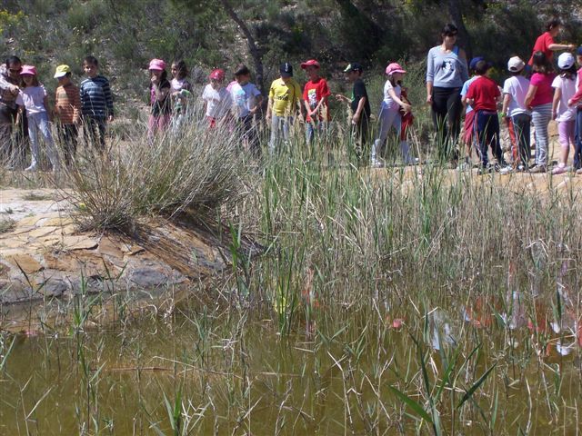 7.000 alumnos y alumnas de 30 centros educativos de Molina han participado en el Programa Municipal de Educación Ambiental Descubre tu entorno - 3, Foto 3