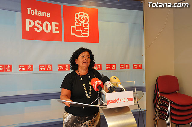 Assessment of the Economic and Financial Plan II Hall - PSOE, Foto 1