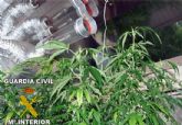 La Guardia Civil desmantela dos puntos de cultivo y distribucin de marihuana