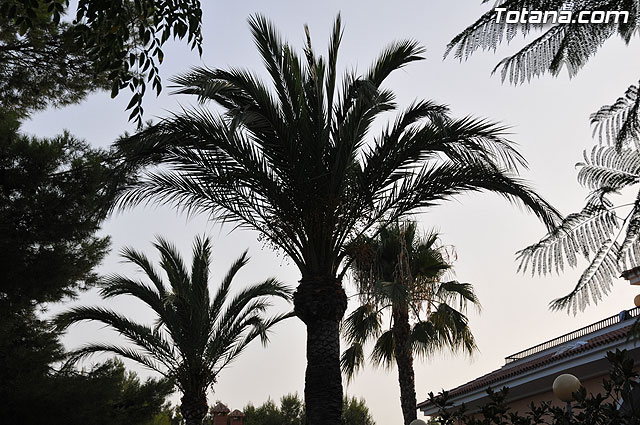 Un total de 55 hemoflicos participan en las 