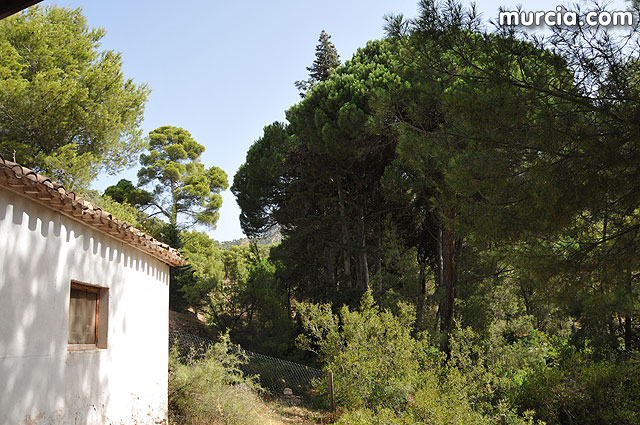 Un total de 25 jvenes de distintas nacionalidades realizan labores de conservacin del entorno natural de Sierra Espuña - 1