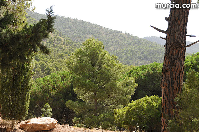 Un total de 25 jvenes de distintas nacionalidades realizan labores de conservacin del entorno natural de Sierra Espuña - 5