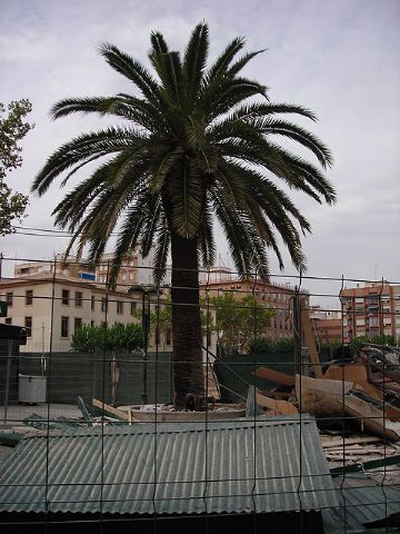 El Ayuntamiento vuelve a demostrar su prepotencia y la falta de voluntad de consenso, segn la Plataforma contra de los aparcamientos en San Esteban - 5