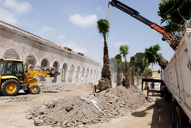 Dos nuevos palmerales para Cartagena - 1, Foto 1