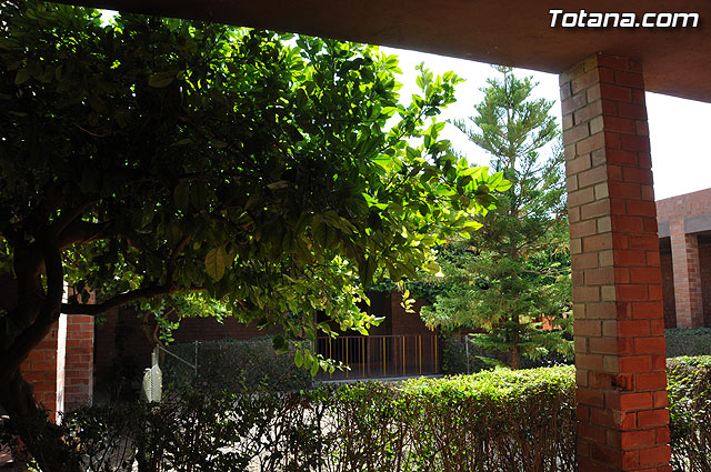 Ms de 190 niños de entre 3 y 12 años han participado en las escuelas de verano que se han impartido en tres centros educativos - 45