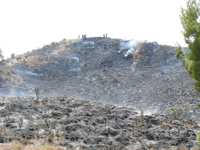 Alrededor de 60 efectivos logran controlar un incendio producido en el paraje de la Celia en el que han ardido cerca de dos hectáreas de monte bajo - 2, Foto 2