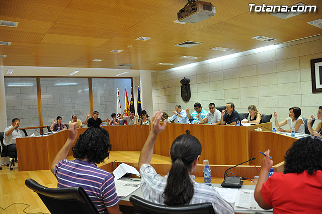 El Ayuntamiento subvencionará los recibos de IBI rústico del año 2009 - 1, Foto 1