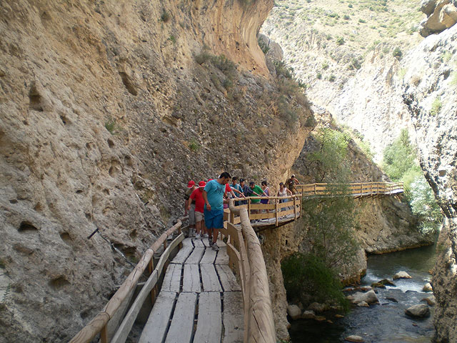 PA.DI.SI.TO. ha celebrado recientemente el tradicional campamento de verano - 9
