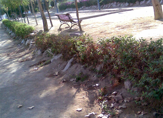 El jardín Montegrande de Torreagüera sigue acumulando deficiencias: goteros rotos, setos secos y suciedad en los bancos - 1, Foto 1
