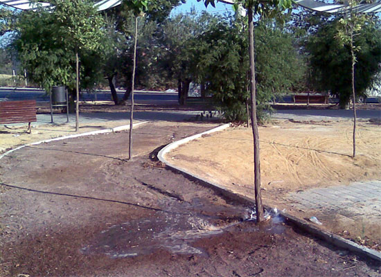 El jardín Montegrande de Torreagüera sigue acumulando deficiencias: goteros rotos, setos secos y suciedad en los bancos - 2, Foto 2