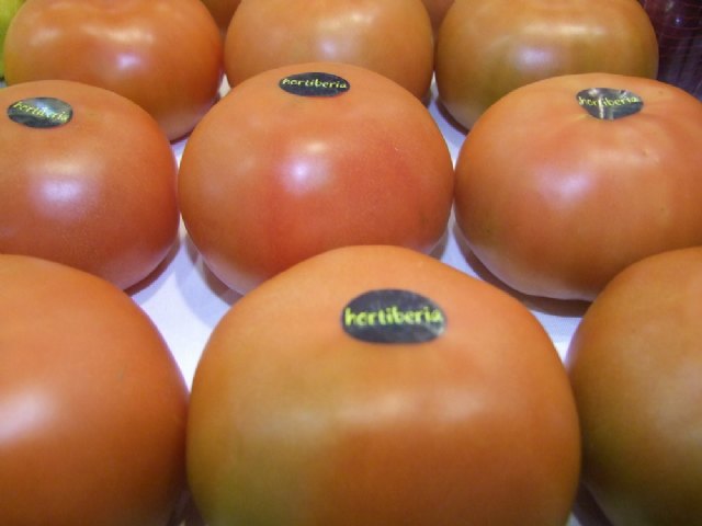 El futuro del Grupo Hortiberia pasa por sellar alianzas con la gran distribución - 1, Foto 1