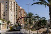 Las palmeras de la calle Luis Calandre se trasladan por obras