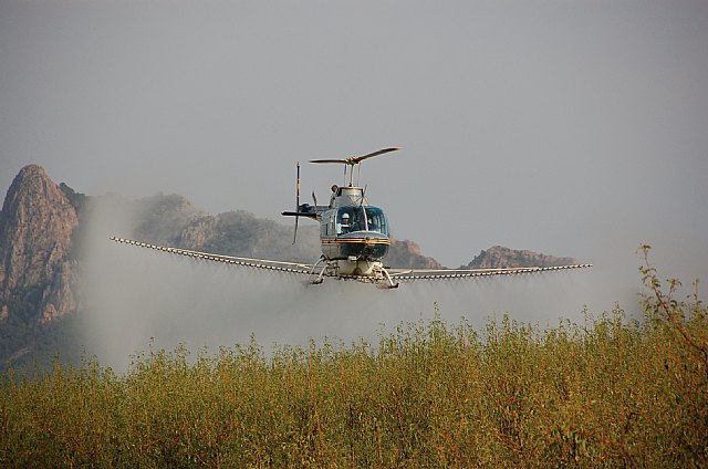 Imagen cedida por la Consejería de Agricultura y Agua: un helicóptero pulveriza fungicida en los cultivos de las zonas más dañadas por el pedrisco en el municipio de Cieza, Foto 1