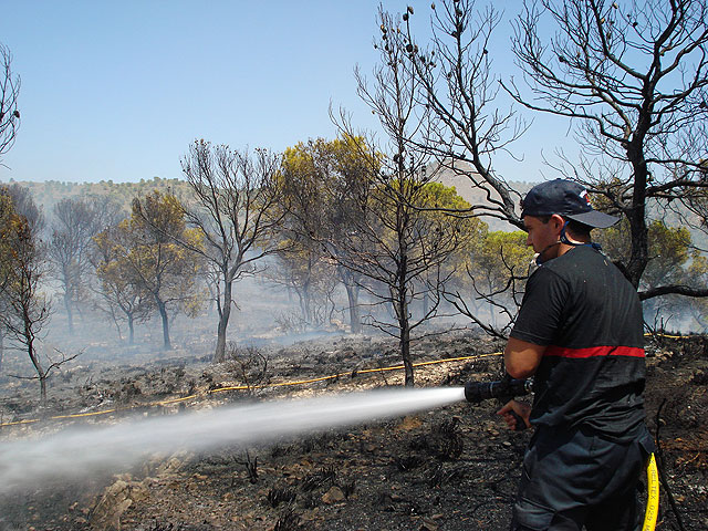 Efectivos del Plan Infomur trabajan en la extinción de un incendio forestal en Los Alhagüeces - 1, Foto 1
