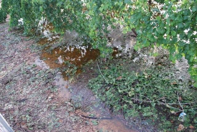 El pleno aprueba la solicitud para que Abarn sea declarada Zona Catastrfica - 7