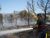Efectivos del Plan Infomur trabajan en la extinción de un incendio forestal en Los Alhagüeces
