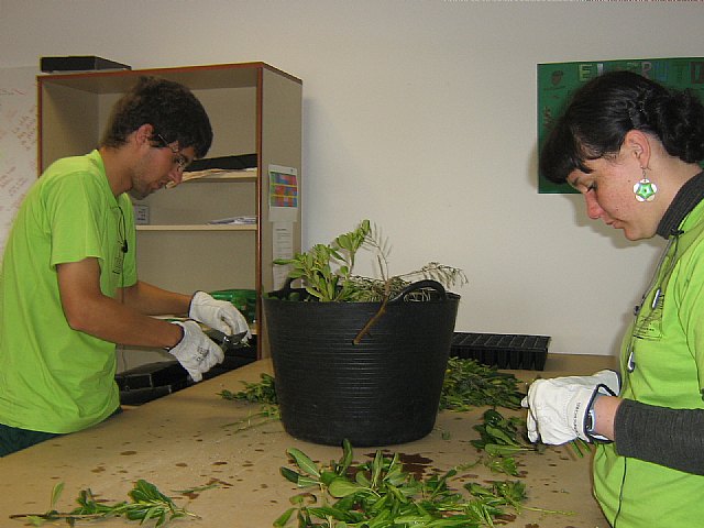 Los alumnos del Programa de Cualificación ProfesionalIinicial de Actividades Auxiliares en Viveros y Jardines realizan un descanso vacacional, Foto 3