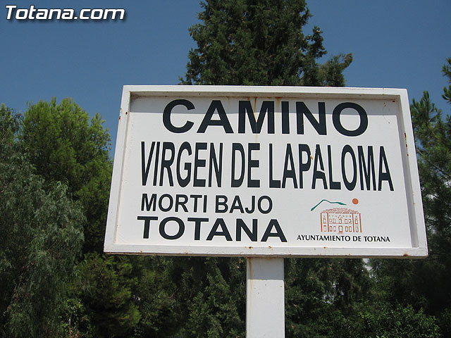 The second phase of public lighting in a stretch of road Virgen de la Paloma is operated, Foto 1