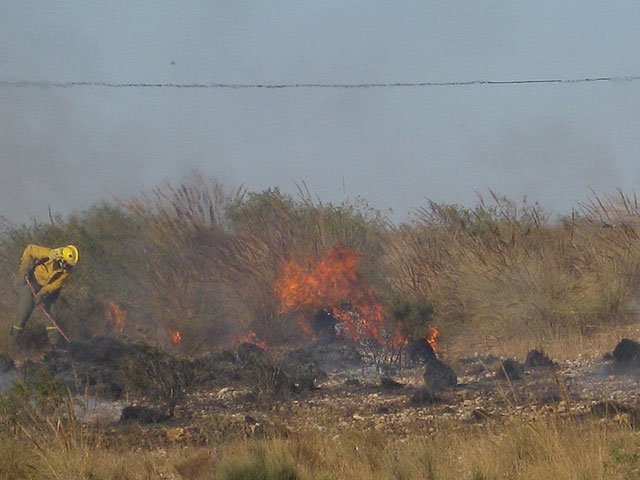 Efectivos de emergencias contra incendios en colaboración con Protección Civil de Totana sofocan un incendio de matorrales de una hectárea, Foto 2