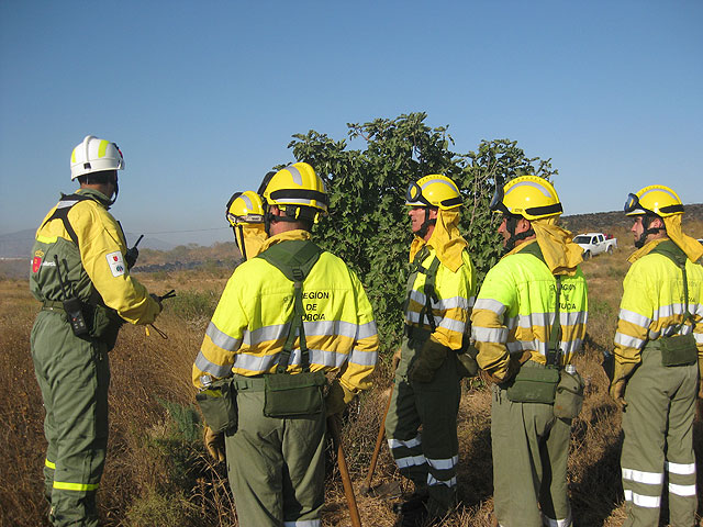 Efectivos de emergencias contra incendios en colaboración con Protección Civil de Totana sofocan un incendio de matorrales de una hectárea - 3, Foto 3