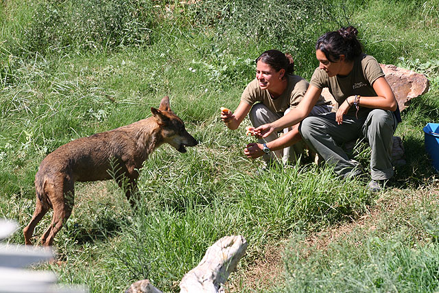 Bailando con Tuala - 2, Foto 2