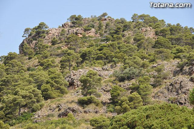La concejalía de Cultura y Turismo continúa trabajando en la elaboración del Plan de Dinamización Turística para el municipio de Totana - 1, Foto 1