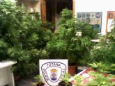 Agentes de la Polica Local de Totana proceden a la intervencin e incautacin de 15 kilogramos de marihuana en una vivienda de la localidad