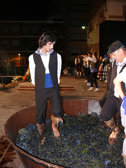 Centenares de personas asistieron al acto de la ofrenda de uvas y obtención del primer mosto - 5, Foto 5